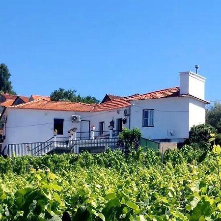 Casa Ceci Douro Villa Cidadelhe  Екстериор снимка