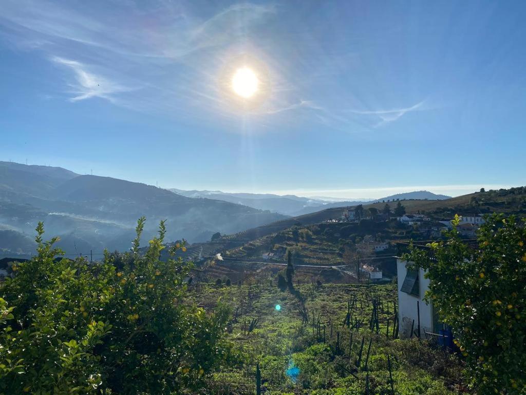 Casa Ceci Douro Villa Cidadelhe  Екстериор снимка