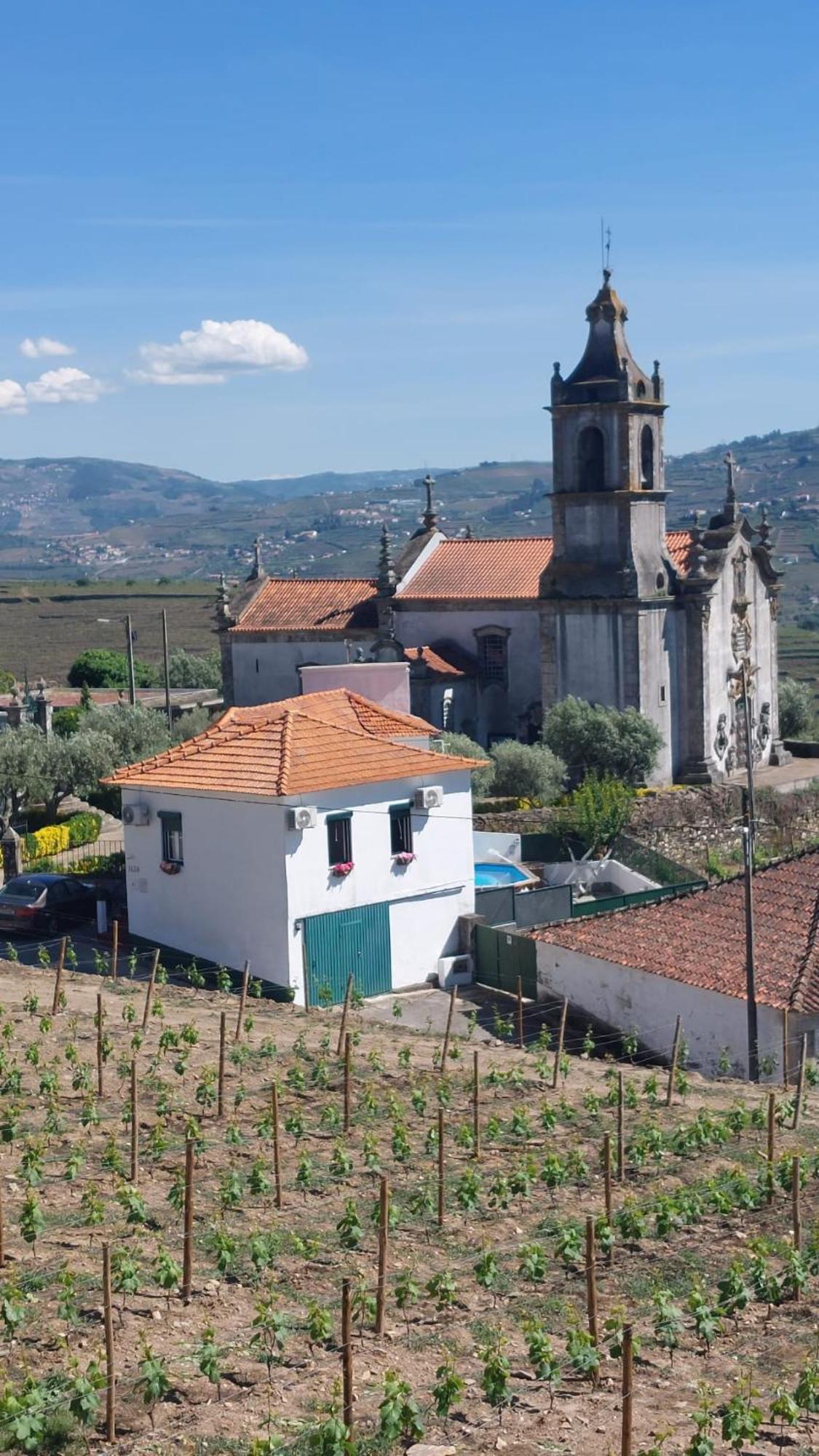 Casa Ceci Douro Villa Cidadelhe  Екстериор снимка