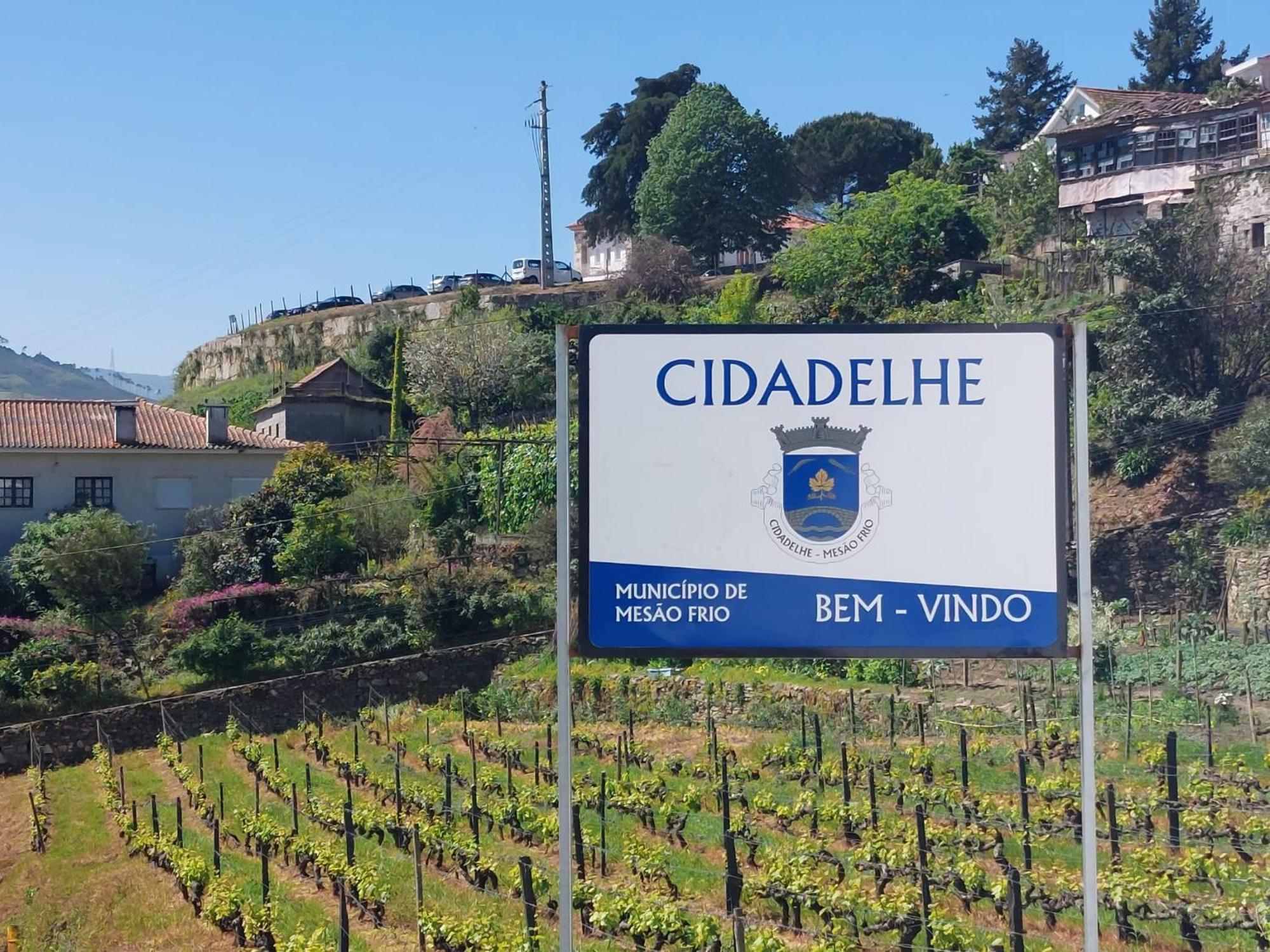 Casa Ceci Douro Villa Cidadelhe  Екстериор снимка