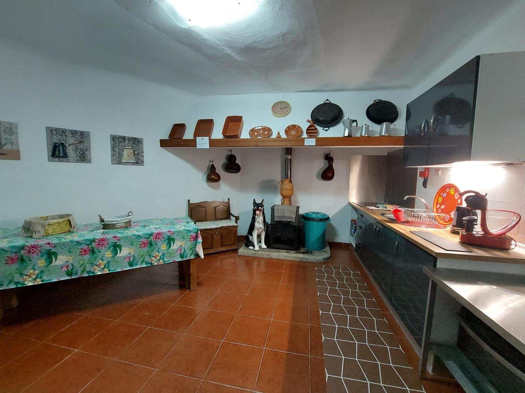 Casa Ceci Douro Villa Cidadelhe  Екстериор снимка
